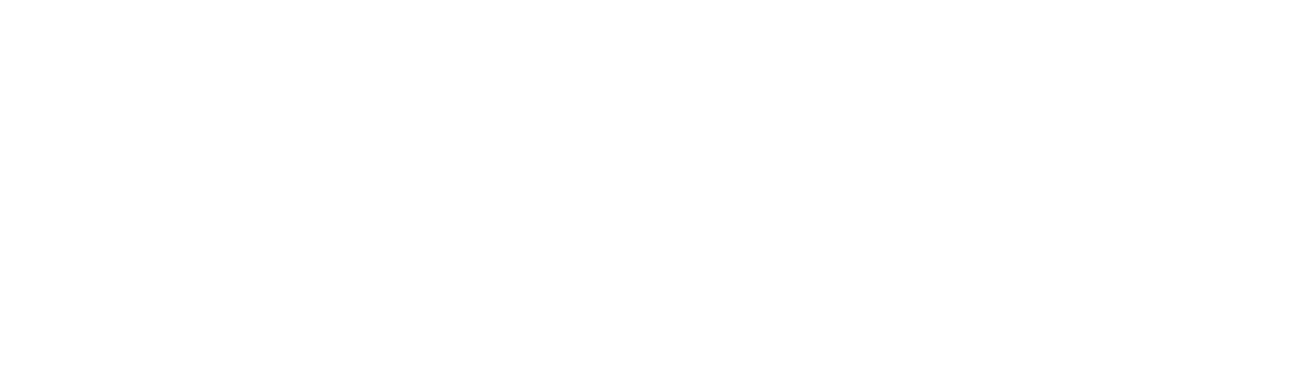 Work Ninjas